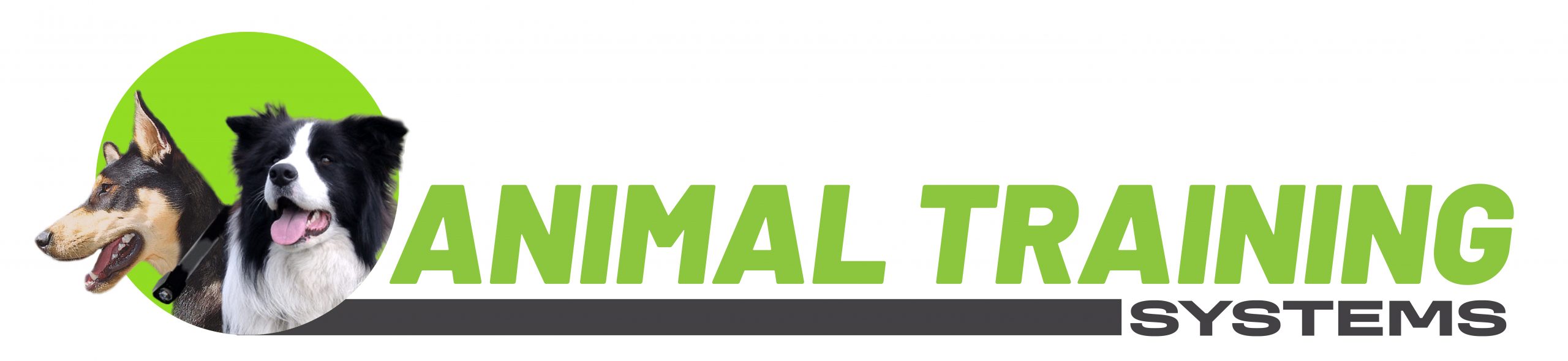 Animal Training Systems