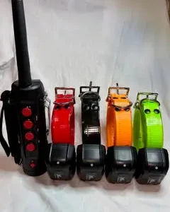 4 collars