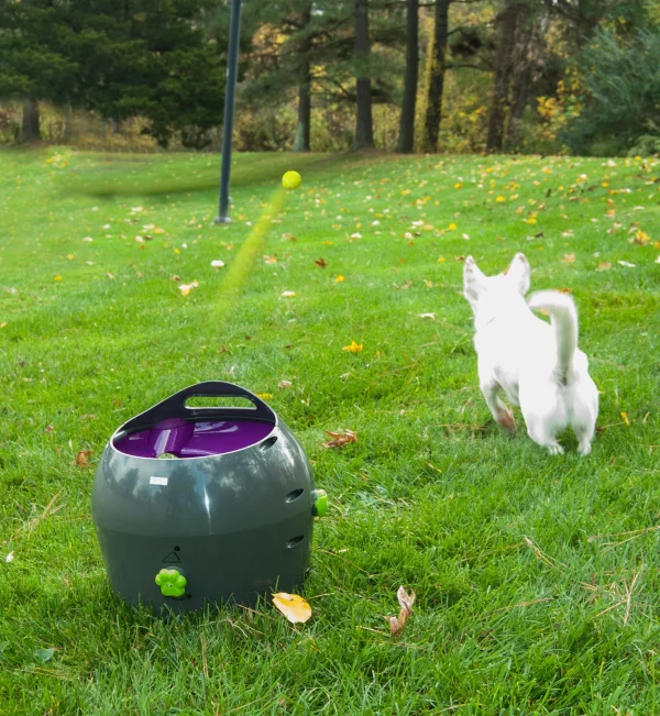 PetSafe® Automatic Ball Launcher PTY17-15849 - Image 4