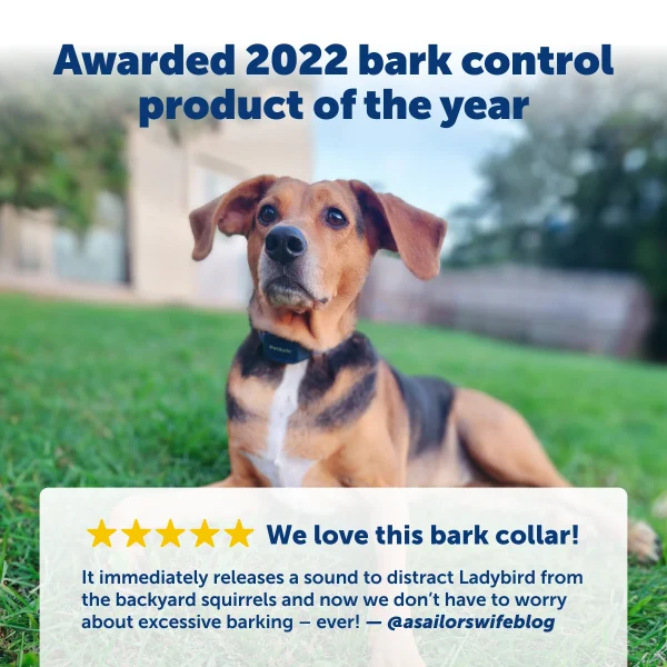 PetSafe® Rechargeable Audible Bark Control Collar PBC19-17283 - Image 4
