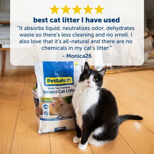 PetSafe® ScoopFree® Premium Natural Litter - 3.6kg PAC00-17904 - Image 2