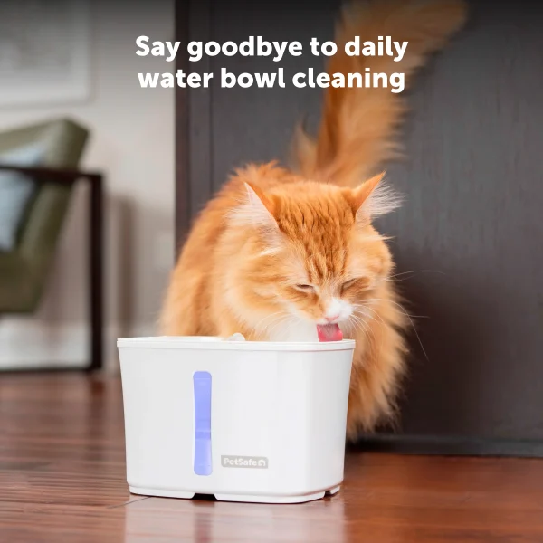 PetSafe® Viva™ Pet Fountain, 1.8 L PWW10-17920 - Image 3