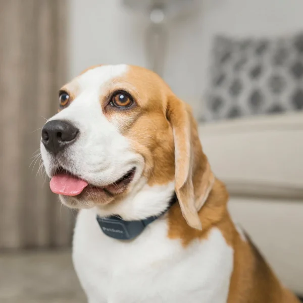 PetSafe® Rechargeable Audible Bark Control Collar PBC19-17283 - Image 2
