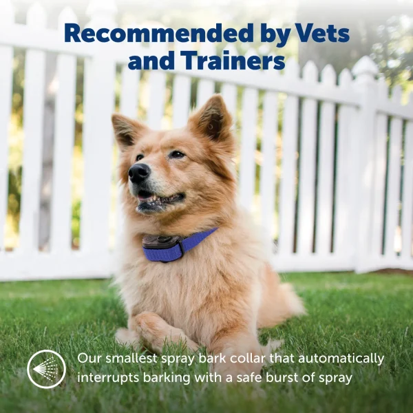 PetSafe® Spray Bark Collar For Small Dogs PBC22-14127 - Image 7