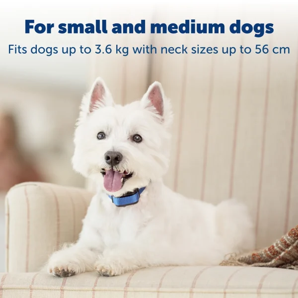 PetSafe® Spray Bark Collar For Small Dogs PBC22-14127 - Image 3