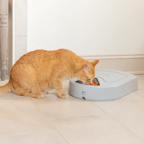 PetSafe® Eatwell 5 Meal Pet Feeder PFD11-13707 - Image 4