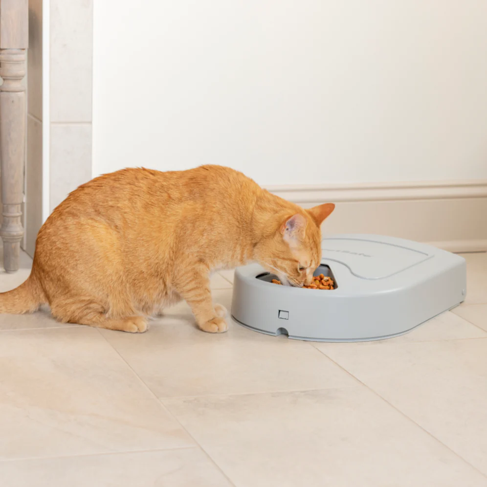 PetSafe® 5-Meal Pet Feeder - Image 4