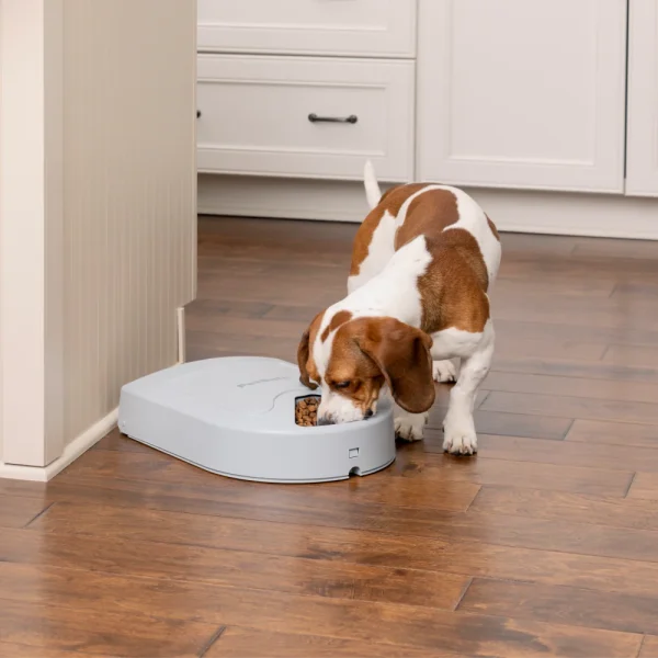 PetSafe® Eatwell 5 Meal Pet Feeder PFD11-13707 - Image 3
