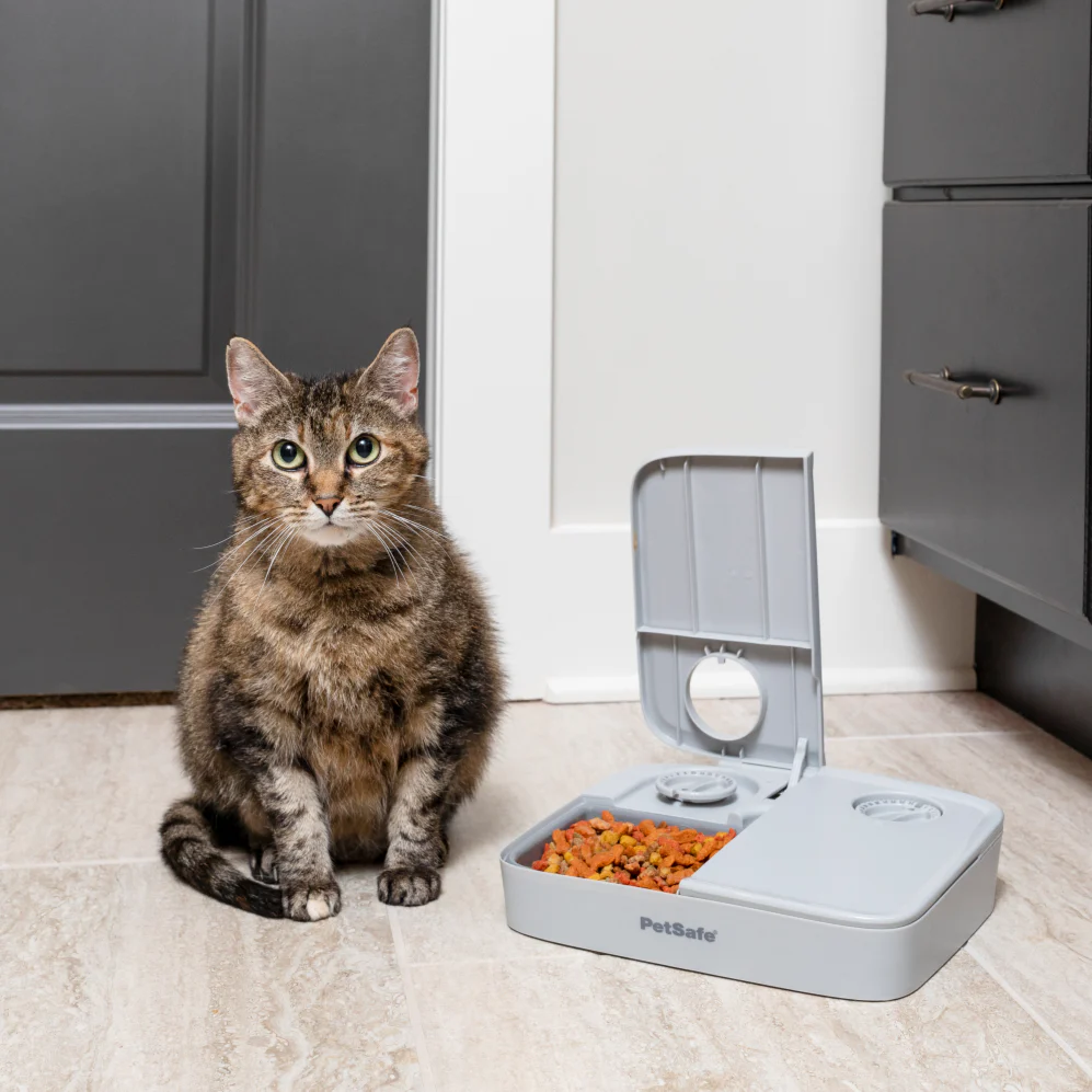 PetSafe® Automatic 2 Meal Pet Feeder PFD19-17005 - Image 2