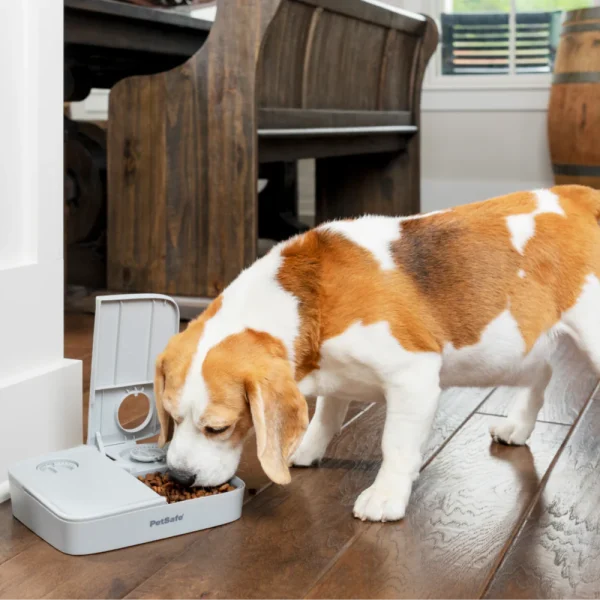 PetSafe® Automatic 2 Meal Pet Feeder PFD19-17005 - Image 8