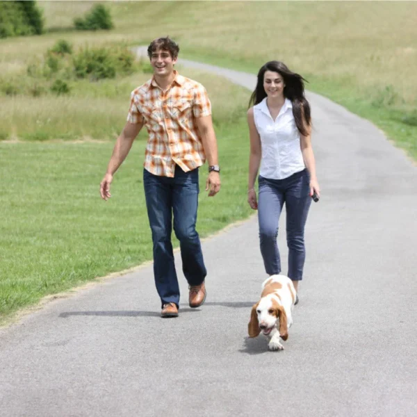 PetSafe® Collarless Ultrasonic Remote Trainer PUPT-100-19 - Image 2