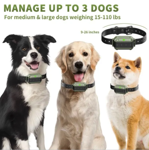 Wellturn F910Plus Wireless Dog Fence (Two Collar System) - Image 6