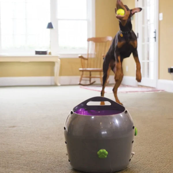 PetSafe® Automatic Ball Launcher PTY17-15849 - Image 3