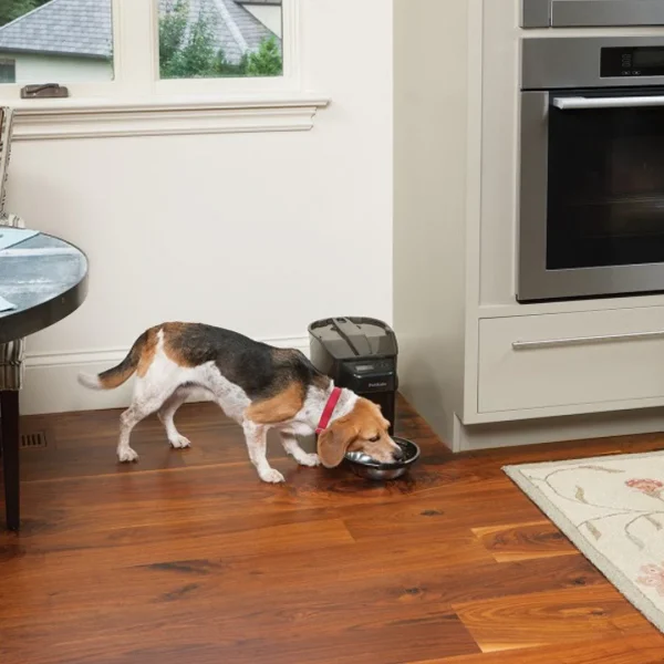 PetSafe® Healthy Pet Simply Feed PFD19-15521 - Image 4