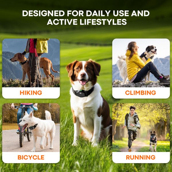 Portable Wireless  Leash - Image 3