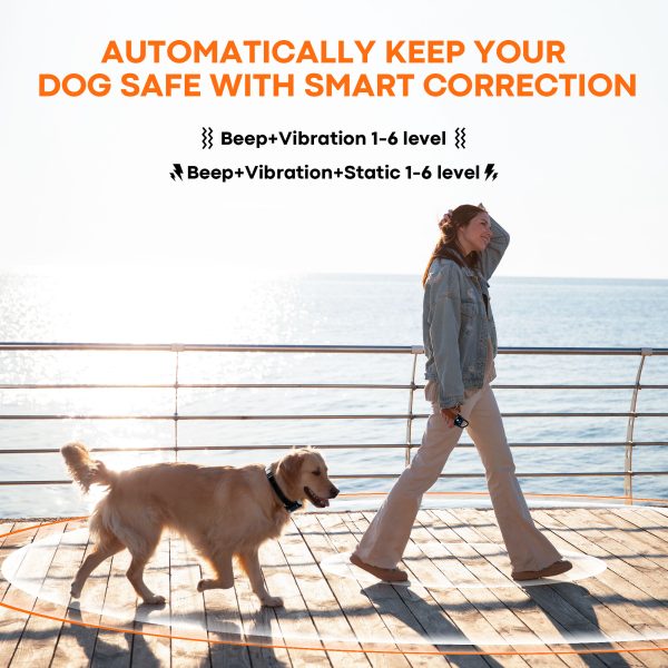Portable Wireless  Leash - Image 4